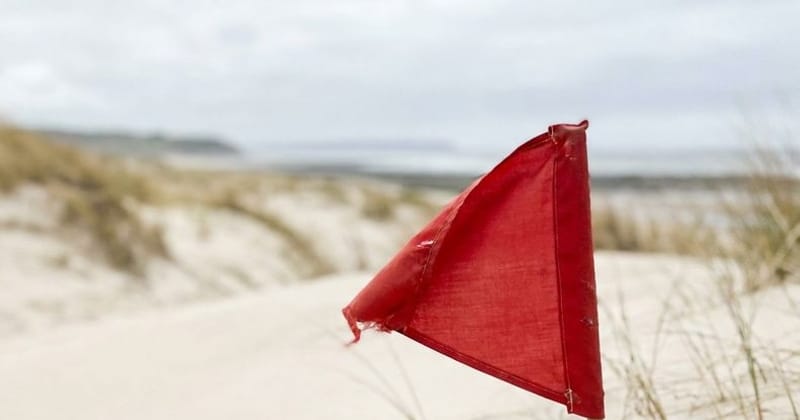 A small red flag staked in beach grass under an overcast sky